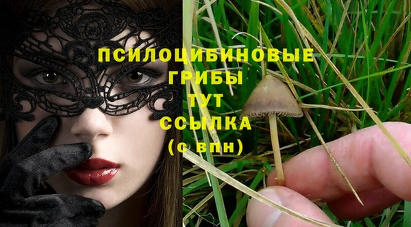 винт Арсеньев