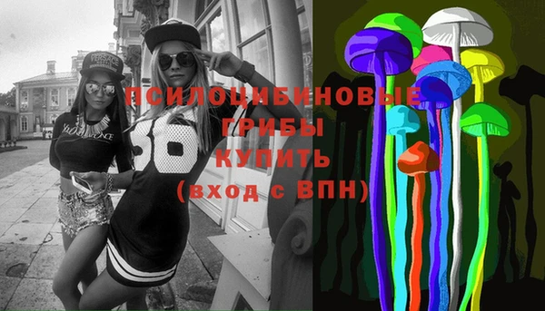 винт Арсеньев