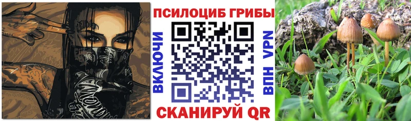 Псилоцибиновые грибы мицелий Сосногорск